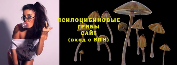 хмурый Алексеевка